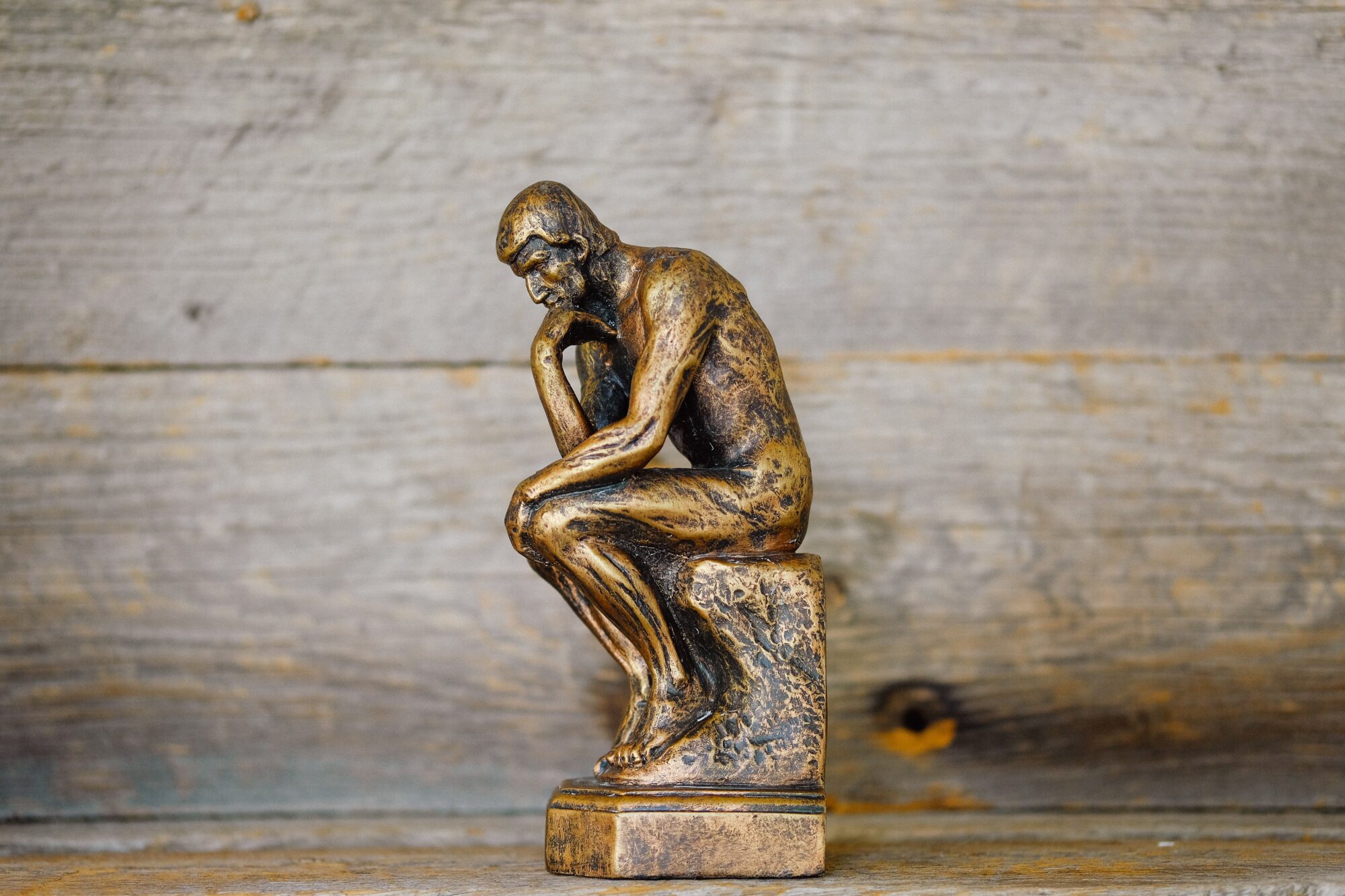Sustainability in Philosophy